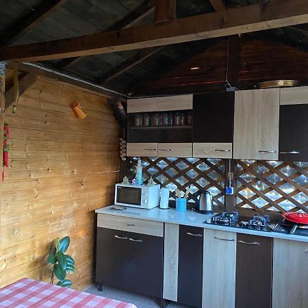 Vila Piscotel Schitu Екстериор снимка