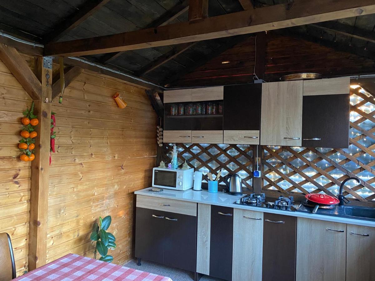 Vila Piscotel Schitu Екстериор снимка
