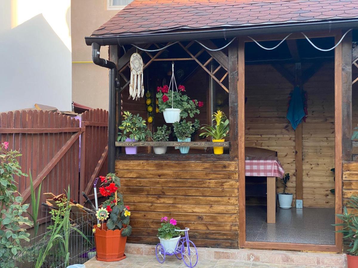 Vila Piscotel Schitu Екстериор снимка